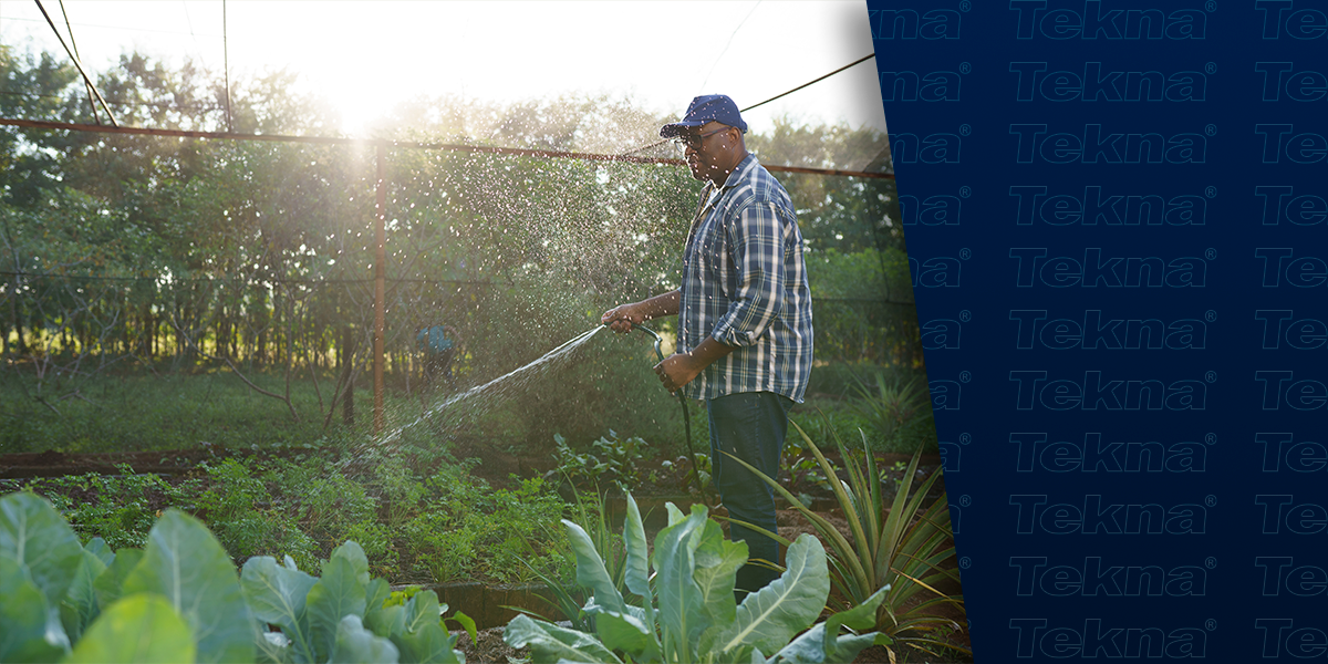 Sustentabilidade-na-jardinagem-como-cuidar-do-verde-de-forma-mais-eficiente